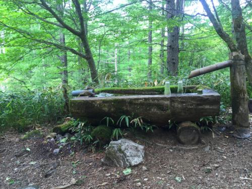 池山小屋付近の水場まで戻ってきた。ここで池山でワラビ取りをしていた地元の人に会って話をしていた。ここから池山の山頂経由で下ろうと、ひでぶーさんが言うけど・・・登るのかと。地元の人もすぐだからということで池山頂上経由で下ることにした