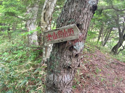 池山登山道なのね・・・