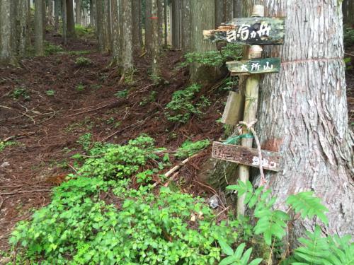 古い標識があった。ちゃんと登山道になっているんやね