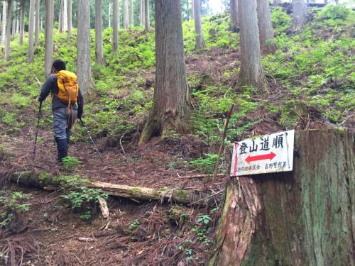 登山道のところどころにこういう標識があった