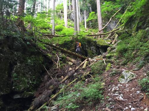 木の階段があったけど、ボロボロでは！？