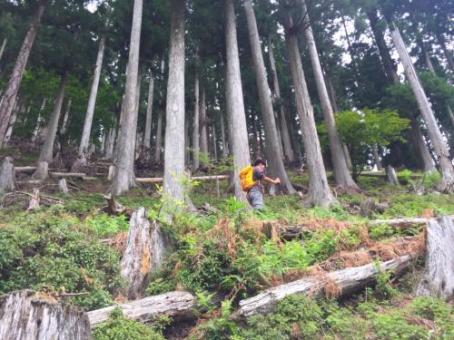 さらに急登は続く