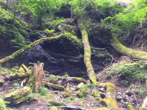 石清水の岩場。この登山ルートは休めるところがここしかなかったかも。水が冷たい
