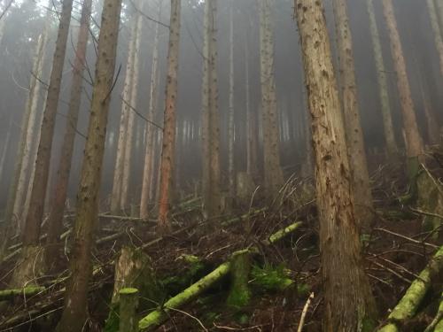 お、おおガスってきた