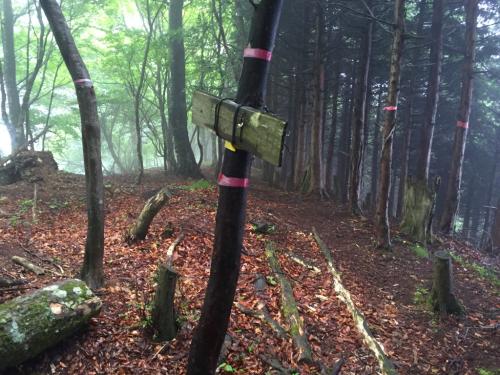 尾根につくと標識があったけど、なぁんも書いてない