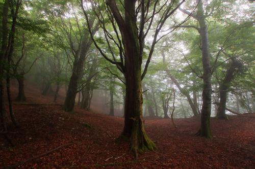 おぉ～雰囲気がいい場所。この辺で撮影したおし