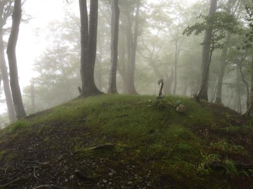 大所山頂上が見えた