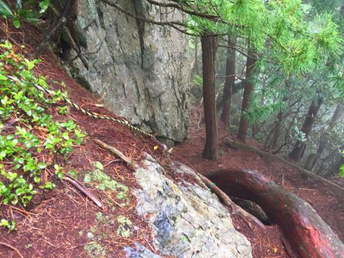 女郎ヶ岩を降りるけど、木で滑りまくりで注意して下る