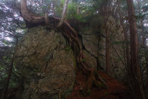 女郎ヶ岩の全容がこれ
