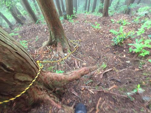 写真では伝わらないけど結構な急斜面を下る