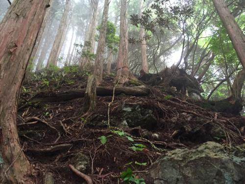 斜面はこんな感じで、下りながら汗だくだく