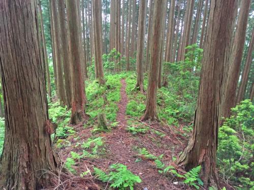 ここから急斜面が落ち着く