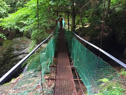 この橋結構揺れる