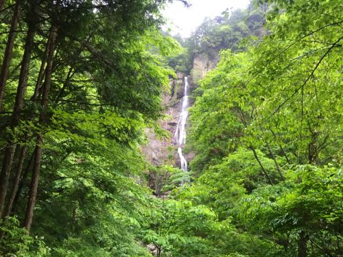 結構な落差の琵琶滝。沢登りするときはあの真下までいこう！