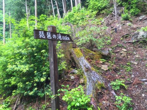 駐車場に戻る途中にあった標識が0.6kmで琵琶滝ということは、分岐から駐車場は0.7kmくらいかな！？