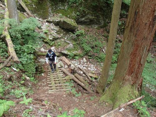 いただいた画像①別に階段つかわなくてもいいんだけど、あえてつかって後に続く