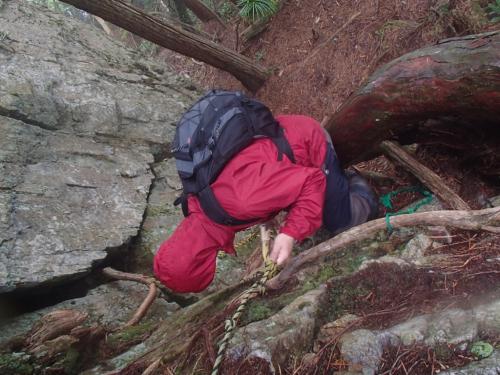 いただいた画像③