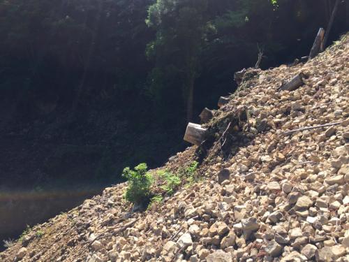 すごい崩壊。ここは直進できんので、登って迂回する