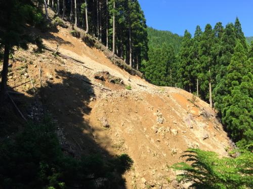 崩壊場所の全容がこれ・・・すごい崩れ方だ