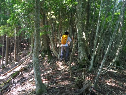 尾根の登りはじめはなだらかだったけど・・・・