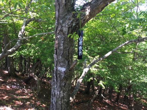 山想遊行というプレートがあったけどこれは何！？