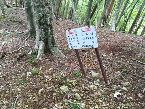 ここで昔の標識が残っていた。昔は登山道だったんだね