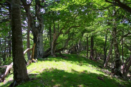 なかなかグッド～