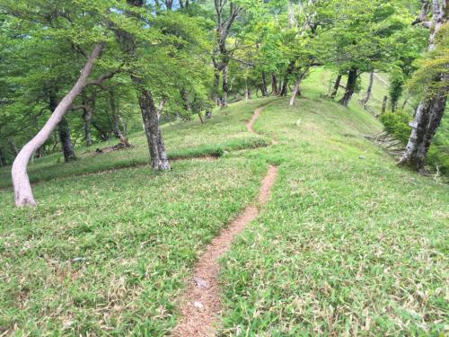 ここで奥駆との出合い