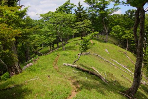 気持ちいい奥駆の道