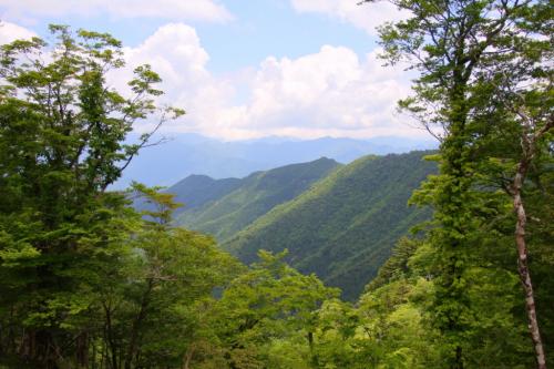 南側の展望がちょこっと見えた