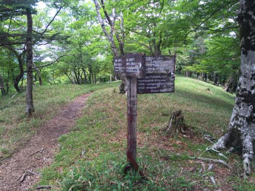 一の垰の分岐のところに到着。前はこれを東口へ下ったけど、今日はさらに進む