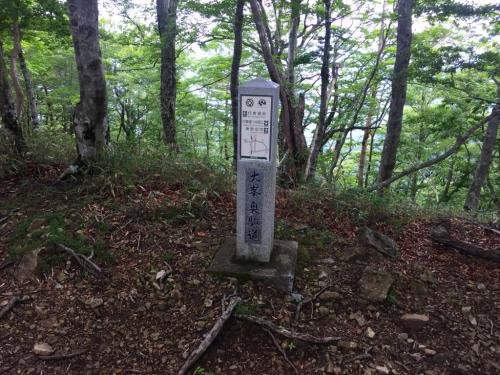 しなの木出合に到着。ここからさらに進む