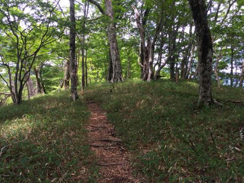 90番からタイタンのある登山道の奥駆分岐まで向かうため。なぜならそれで奥駆道が大普賢岳～明星ヶ岳までつながるからだ
