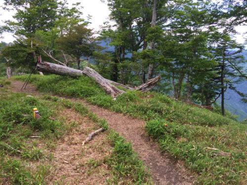 雰囲気が少しかわった