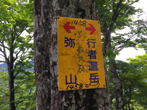 ピーク1458に到着。ここが90番から登った奥駆出合いのところ。これで繋がった！