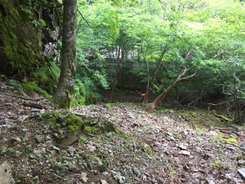 テープが途切れて別の尾根を下ることになってしまった