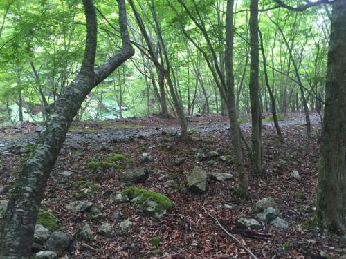 弥山への登山道との合流