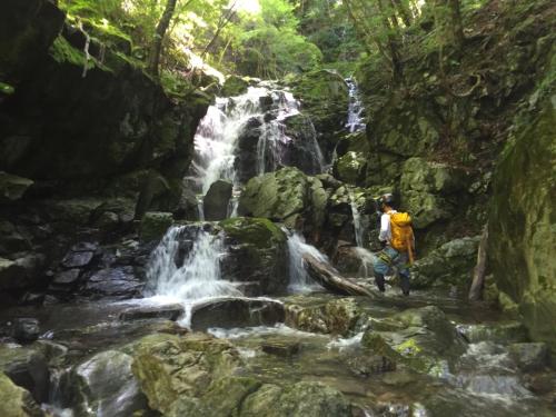 ここは沢登りらしく登ります