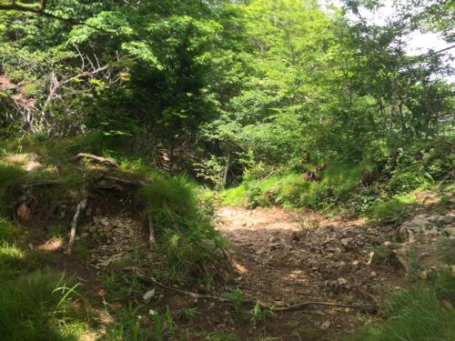 大日キレットに出た！これで岩本谷は大満足