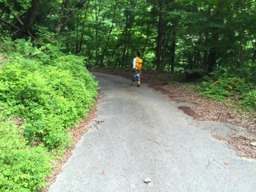 白倉林道に降りた。最後の下りはわけがわからなかった。そしてクロモジ尾は結構長い尾根だったよ～