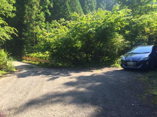 白倉林道の橋の手前。ここで駐車してスタート