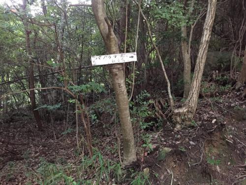 パノラマコースと書いていますが、パノラマコースから外れるのでは！？