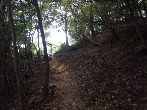 ここから尾根に入る