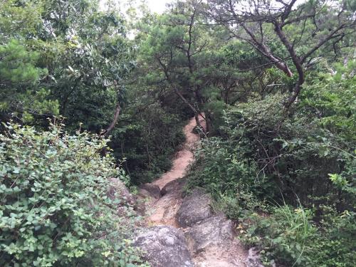 体力的に消化不足なのでごろごろ岳を目指します