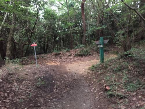 ここで分岐。右に登るとごろごろ岳、左へ下るとガベの城