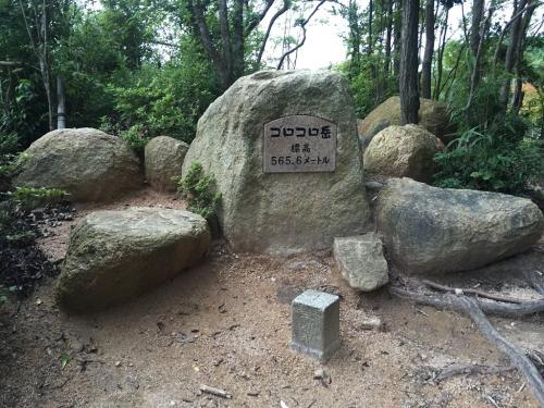 ごろごろ岳（565.3m）に到着。数年前は汚い看板が立ってただけなのに、今はなんか立派になってる