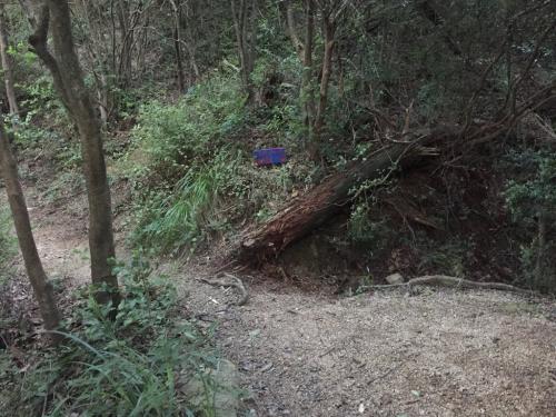 ガベの城のピークを目指します