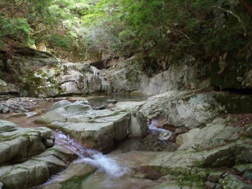 なかなかいい沢ぽい