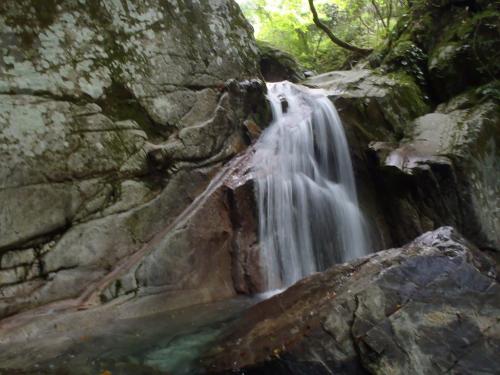 ここは斜めに登っていきます