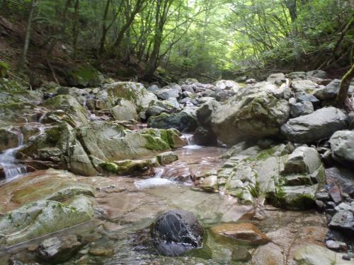 どんどんつめていきます